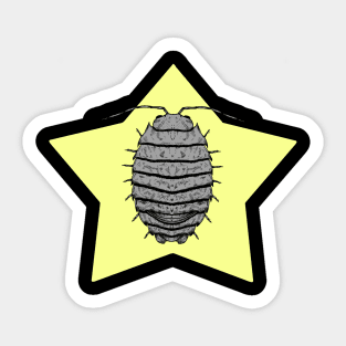 Bug Star Sticker